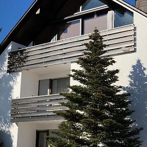 Ferienwohnung Rad-Ski